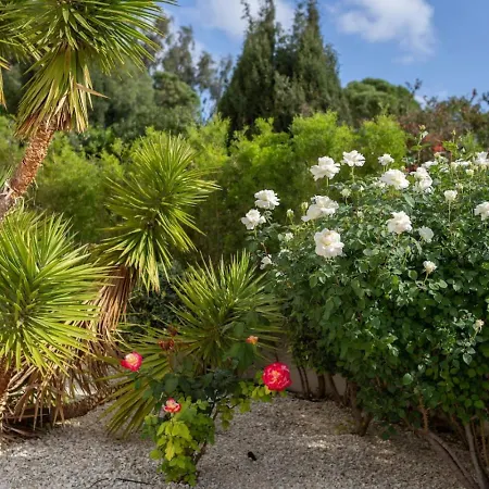 Ferienhaus 4-bedroom With Heated Pool Peyia
